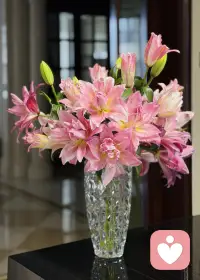 早安呀 🌱
新的一天，不必急着赶路，也不用强求完美

允许自己慢慢来，带着温柔与勇气，迎接此刻的每一分美好。配图