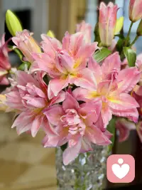 二月早安🌿
冬意渐柔，春光已在眉眼间悄悄酝酿。

愿你在这温柔的过渡里，允许自己慢一点，松一点，接纳所有的情绪与状态，也珍惜每一个平凡的清晨与美好。

心有暖意，步步生欢，新的一月，好好爱自己，慢慢来，一切都来得及。配图