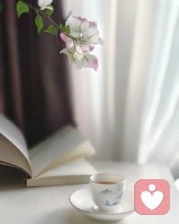 慢下来，才懂生活的温柔
 
去爱，去感知，去探索✨
 
不用开店的清晨
泡杯温茶，静静看花
白蝴蝶兰被粉色慢慢晕染
心也跟着柔软下来💐
 
在慢时光里
找到属于自己的平静与自愈
原来生活的美好
都藏在这些细碎的日常里
 
最近读《我的阿勒泰》
被一句话戳中：
“去爱，去感知，去探索，阿勒泰的每一寸土地都藏着故事。”
其实生活亦是如此呀🌿配图