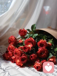 正月十一，早安。

新的一天，愿你把心慢慢安放，不慌不忙，向阳而行。

允许一切发生，也允许自己被温柔治愈。配图