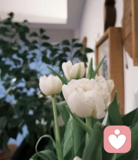 我是一名用心陪伴的心理咨询师，
相信每一个情绪都值得被看见，每一段伤痛都可以被温柔疗愈。
 
不评判、不说教、不贴标签，
只做你安全的倾听者、稳定的陪伴者。
在关系、情绪、成长的路上，
陪你慢慢看清自己，慢慢找回力量。
 
愿你被理解，被接纳，被温柔以待。
我在这里，等你慢慢变好。配图