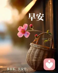早安✨

清晨的阳光不偏不倚，落在每一个认真生活的人身上。

不必强迫自己时刻坚强，也不用总把情绪藏起来。

愿你今天少一点焦虑，多一点松弛，累了就歇一歇，你值得被温柔对待，也值得好好爱自己。