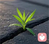 早呀✨

新的一天，不必带着昨天的疲惫赶路，也不用为没发生的事提前焦虑。

你此刻就很安全，不必时刻紧绷。慢慢来，你已经在稳稳往前走了。配图