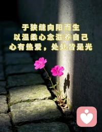 于狭缝向阳而生

以温柔心念滋养自己

心有热爱，处处皆是光✨

早安🌻