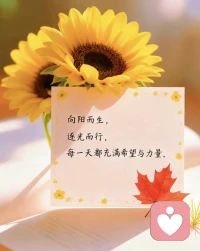 别拿别人的地图，找自己的路。

这世界有千万种活法，而你只需要一种：自己喜欢的。

早安✨配图
