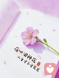 在心田种花，人生才不会荒芜

        不必总纠结生活里的烦恼，多给自己一点温柔

用心滋养内心，慢慢沉淀，日子自会开满温柔繁花✨