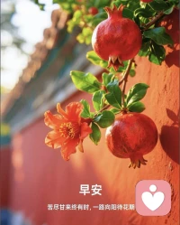 🌸不要害怕别人会比你更幸福

别人人生的变好，并不会拿走属于你的那一份。
别人的进度，不是你迟到的证据。

真正的自由，是看见别人闪闪发光，也依然喜欢自己的生活。

最好的解药：是把自己的生活过得具体一点配图