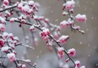 累了，就放下吧，別傷了自己！配圖