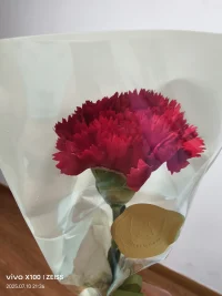 經典成語故事“一鼓作氣”
        春秋時期，有一次齊國攻打魯國。當時，齊國強大，魯國弱小，魯國的國君魯莊公動員全國的軍隊準備抵抗。魯國有一個精通兵法、很有謀略的人叫曹劌，他自告奮勇，請求跟魯莊公一同參戰。
　　魯莊公和曹劌同坐一輛戰車，率領軍隊在魯國的長勺與齊軍作戰。雙方剛擺好了陣勢，魯莊公就要擊鼓進攻。曹劌說：“時機未到，不能進攻。”齊國擊了三次鼓，發了三次進攻的命令，曹劌才對魯莊公說：“好了，現在可以進攻了。”于是，魯軍鼓聲震天，士兵們像潮水一樣沖向齊軍，把他們打得落花流水，抱頭逃命。莊公正想下令追擊，曹劌卻又阻止，并下車細看地面齊軍兵車輪跡，又攀上車前橫木，注意觀察敵軍退走的情形，然后說：“現在可以追擊了！”莊公當即下令追擊。魯軍乘勝前進，把齊軍全部趕出國境。魯莊公問曹劌：“為什么要等齊軍擊鼓三次以后，你才讓我下令出兵呢？”曹劌答道：“打仗時主要是靠勇氣。第一次擊鼓時，士兵們的斗志最旺盛；第二次擊鼓的時候，大家的士氣就會有些低落了；到了第三次擊鼓的時候，士兵的勇氣就全消失了。等齊軍的三通鼓擊完，我們才擊鼓沖鋒，這時齊兵的勇氣已經衰竭，而我方的士氣正是最旺盛的時候。因此，一鼓作氣，打敗了齊軍。”
　　成語“一鼓作氣”比喻做事要趁大家情緒高漲時，一下子做完。含有鼓勵的意思。鼓，敲戰鼓；作，振作。配圖