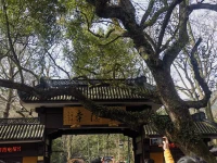 任何真理都要經(jīng)歷三個(gè)階段：第一，被嘲笑；第二，被激烈反對(duì)；第三，被不言自明地接受！配圖