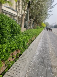 生活中有時候幫助你的不一定是你身邊的人，
也許是從未謀面的陌生人，因此不要焦慮，人生處處有風景配圖