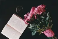觉醒不是终点，而是开始，是重新认识世界与自我的起点。
