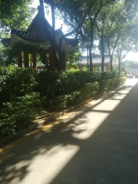 有時(shí)候感覺(jué)世界是假的，但用心感受，并不缺真心對(duì)待我們的人配圖