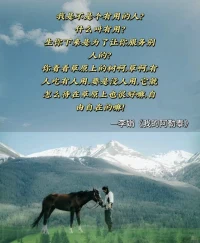我的阿勒泰配圖