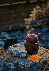 年齡越大，越學會了順其自然，不想再挽留什么，相信該在的不會走。遇見的人多了你才會明白，哪些人值得用生命去珍惜，哪些人只適合繞道而行。不要再失眠，再憂慮了；得之坦然，失之淡然，明天還有好多路要走，好多人要遇見，對自己好一點。配圖