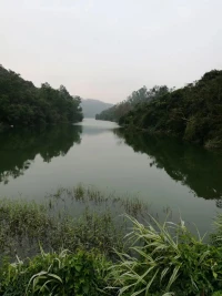 周末兩天會(huì)議空閑檔時(shí)讀素問(wèn)以解壓。“志閑而少欲，心安而不懼，行勞而不倦”。真向往這種狀態(tài):不想過(guò)去與未來(lái)，認(rèn)真過(guò)好此刻，平心靜氣安定心神就不會(huì)憂思憂慮，身心均具較高的能量基礎(chǔ)就不會(huì)覺得太累。配圖