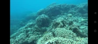 “基本上，一切人際關系矛盾都起因于—
對別人的課題妄加干涉，或者自己的課題被別人妄加干涉。
只要能夠進行課題分離，人際關系就會發生巨大改變。”
——《被討厭的勇氣》配圖