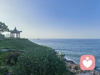 感受是靈魂的語言。人有時(shí)候很難發(fā)現(xiàn)自己的各種感受，而且經(jīng)常出現(xiàn)的情況是，要承認(rèn)這些感受的難度更大。然而隱藏在你最深的感受中的，卻是你最高的真相。～《與神對話》配圖