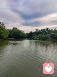 希望自己做個程序員，對大腦重新進行編程。因為一旦我養成了一個新習慣，大腦就會捍衛這個習慣，捍衛新的編程。所以我要創建新的程序，讓神經元建立新的鏈接～配圖