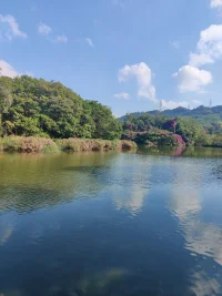 阿甘說:我不覺得人的心智成熟是越來越寬容，什么都可以接受。相反，我覺得那應該是一個剔除的過程，知道什么重要，什么不重要，而后做一個簡單的人。配圖