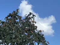 討好型人格——
討好型人格的人很敏感，擔心自己被人討厭，經常通過委屈自己來換取別人的認可，明明不開心，卻習慣性地犧牲自己去化解沖突。
原因：從小父母對你的愛都是有條件的，你懂事、聽話、忍讓了，父母才會夸你，慢慢養成了討好的習慣。配圖