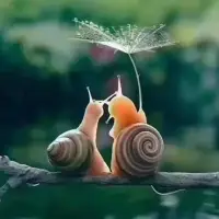 剛為人父母的人，如果能注意以下幾點(diǎn)，就能很好地幫助孩子提升自我價(jià)值。

一、要清楚自己平時(shí)是怎么撫摸你的小孩的。以同樣的方式撫摸一下你自己，你有什么感覺呢？想象一下，當(dāng)你這樣撫摸自己的小孩時(shí)，他們會(huì)有怎樣的感覺呢？你的撫摸是生硬的、溫柔的、無力的、柔弱的、充滿愛意的還是令人恐懼的或令人焦慮的呢？將你的感受告訴你的孩子。

二、要清楚自己的眼神是怎樣的。要敢于承認(rèn)自己的感受：“我很生氣”，“我很害怕”、“我很開心”，等等。最重要的是能用你的眼神向你的小孩傳達(dá)你的感受。

三、非常小的孩子很容易認(rèn)為周圍發(fā)生的一切事情——好的也好壞的也罷——都與自己有關(guān)。幫助孩子樹立自信心的重要一步是要教孩子明確區(qū)分哪件事和自己有關(guān)，哪件事是別人引起的。當(dāng)你和孩子講話時(shí)，一定要將自己所用的人稱代詞是指何人說清楚。比如說，一位母親因?yàn)楹⒆硬皇匾?guī)矩而生氣，他可能會(huì)說：“你這個(gè)孩子，怎么這么不聽話？”盡管他只是在那里嗔怪那個(gè)犯錯(cuò)的孩子，可他所有在場的孩子都聽到了這番話，都會(huì)認(rèn)為是在說自己。

四、鼓勵(lì)孩子多發(fā)表意見多問問題，這樣大家就都能弄清楚他心里是怎么想的。在上面那種情況下，愿意提問的孩子就會(huì)說：“你是在說我嗎？”

所有發(fā)生在嬰兒周圍的事件，以及他們所看到的行為、聽到的聲音等，都會(huì)在他們內(nèi)心留下烙印，而且對他們來說也都或多或少有些意義。運(yùn)用催眠法使成人退回到孩童時(shí)代的練習(xí)驗(yàn)證了這些結(jié)論。嬰兒通常只會(huì)記事件本身，完全不會(huì)在意可以使世間變得清晰的大環(huán)境是怎么樣的。因?yàn)椴涣私馐虑榘l(fā)生的背景，這些事件就成了導(dǎo)致他們錯(cuò)誤判斷的根源，也會(huì)影響他們后來的行為。

我建議父母在告訴孩子發(fā)生什么的同時(shí)明確向孩子說明事件發(fā)生的大背景和相關(guān)人物。例如，當(dāng)你們夫婦吵完了架的時(shí)候，你們兩個(gè)都應(yīng)該到孩子床邊，輪流告訴他發(fā)生了什么。如果在吵架過程中，你們有任何一方提到過孩子的名字，這么做就尤為必要了。

你真的生氣和你描述自己生氣時(shí)的狀態(tài)絕對不是同一回事，體現(xiàn)在說話時(shí)的語調(diào)變了。我看到過四個(gè)月大的嬰兒在父母吵架時(shí)大哭。當(dāng)他們吵架過后，開始以我前面的方式告訴孩子發(fā)生一切時(shí)，孩子破涕為笑，慢慢地就睡著了。配圖