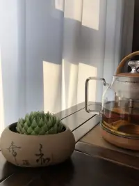 一塵不染不是沒有塵埃
而是塵埃任它飛揚
我自做我的陽光配圖