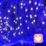   5682438的头像