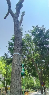 童年創傷的影響往往延續到成年期,以微妙而深刻的方式影響我們的身體健康、心理健康和行為。 

通過觀察自己的表現是認識我們斗爭的根源和開始愈合過程的關鍵。
……
你可以痊愈。在任何時候，在人生的任何時期。你的痊愈能治愈你的后代。?配圖