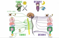 沒有被正確處理好的創傷，會形成一個內心缺口，誘導一個人不斷往這個缺口投東西，給自己沒有得到、缺失的部分，拼命找替代品。

殊不知那是個永遠無法填補的黑洞?？是笸獠靠腕w來給予自體客體需要，而不是整合、發展出自體功能，都是揚湯止沸。配圖