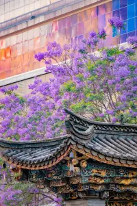 你以為錯(cuò)過了是遺憾
其實(shí)可能是躲過一劫

別太貪心了吧
你不可能什么都擁有

也不要灰心
你不可能什么都沒有

所愿 所不愿
不如心甘情愿

所得 所不得
都不如心安理得配圖