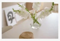 給時間以時間，予美好以美好，
無論是過去多難，或未來多慌，
都別再回頭望，照顧好自己，
過好每分每秒!配圖
