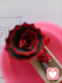 周末，宅著很舒服啊~????配圖