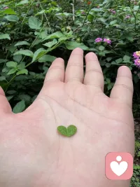 “如果是你熱愛的東西，千萬別輕易放手，這種愛是我們繼續生活下去的動力，無論別人理不理解。”
|（美劇《絕望的主婦》）配圖