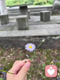 “如果是你熱愛的東西，千萬別輕易放手，這種愛是我們繼續生活下去的動力，無論別人理不理解。”
|（美劇《絕望的主婦》）配圖