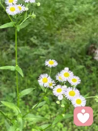 “如果是你熱愛的東西，千萬別輕易放手，這種愛是我們繼續生活下去的動力，無論別人理不理解。”
|（美劇《絕望的主婦》）配圖