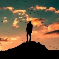 人生并非完全由命定，有些定律的影響力遠(yuǎn)超我們所知，它們無形中改變著我們的人生軌跡。1?因果定律：種善因，得善果我們從小就聽到的一句諺語：“種瓜得瓜，種豆得豆”，道出了因果定律的真諦。每一個行為，每一個選擇，都會種下相應(yīng)的結(jié)果。人生就像一臺巨大的織布機(jī)，我們每天的思考、行為和行動，就像織布機(jī)上的經(jīng)緯線，一針一線構(gòu)建出我們的生命。若想收獲滿意的果實，首先需要播下正確的種子。人生沒有如果，只有后果和結(jié)果。不要對命運的不公感到怨天尤人，因為每一個結(jié)果的產(chǎn)生，都有我們自己的參與和選擇。我們常常因為結(jié)果的不如意而抱怨，卻忘記了在最初的時候，我們其實可以選擇不同的道路和行動。請珍惜每一次選擇和行動的機(jī)會，明智地播種，用心地耕耘。因為最終收獲的碩果，是我們自己種下的種子。2?深信定律：信念的力量心懷信念，方能行至遠(yuǎn)方。當(dāng)我們內(nèi)心堅定地相信某件事時，就會為之付出更多的努力，進(jìn)而推動事情向著預(yù)期的方向發(fā)展。不是因為看到了希望才去堅持，而是因為堅持了，我們才能看到希望的曙光。很多時候，成功與失敗的分界線就隱藏在我們對自己的目標(biāo)是否有堅定的信念之中。信念，無形卻強(qiáng)大，不能被低估，它是驅(qū)使我們做出非凡之舉的強(qiáng)大動力。3?二八定律：抓住關(guān)鍵的20%人生中80%的成果源自于20%的努力。這個二八定律既令人感到欣喜，又令人感到沮喪。令人欣喜的是，我們只需要付出20%的努力，就能獲得80%的回報；然而，令人沮喪的是，有時候我們付出了80%的努力，卻只換來了20%的結(jié)果。在日常生活中，往往就是那關(guān)鍵的少數(shù)決定了大部分的結(jié)果。學(xué)會識別并抓住這些關(guān)鍵的少數(shù)，是實現(xiàn)高效生活的重要法則。人生短暫，與其面面俱到，不如集中精力攻其一點。將80%的精力投入到20%的關(guān)鍵事情上，是實現(xiàn)目標(biāo)的重要策略。就像用20%的力量握住杠桿的一端，就可以撬動整個世界。配圖