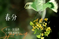 春分至，春意濃烈，一寸光陰一寸金，珍惜每一分春光，不負韶華，共赴繁花盛宴。配圖