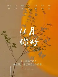 一個轉(zhuǎn)身，秋天成了風(fēng)景，冬天成了期待。好好生活，慢慢相遇，十月再見，十一月你好。配圖