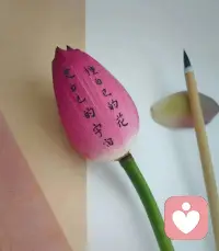 四天学习归来啦～

有没有想要咨询心理问题的，找我聊聊吧