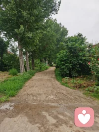 很多人困在反复倾诉与头脑分析里，却迟迟无法真正疗愈。

真正的疗愈，从来不止于思考和交谈。
当感受沉入身体、达成身心共振，言语才会拥有治愈的魔力，内在的卡点才会真正松动瓦解。

头脑听懂一万遍，不如身体真切感受一次。