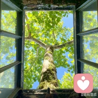 你真正欣赏的
其实是你没活出的自己

心理学说
“人际关系就像一面镜子，
你能看见什么，取决于你心里有什么”

你欣赏的人映照出的是“你内在的品味与向往”
你讨厌的人映照出的是“你内在的底线与原则”

所以，下次 当你被别人的光芒吸引时
 不要自卑，也不要只顾着羡慕
因为你在这个世界上 看到的所有美好，
早就已经在你的心里了

你唯一需要做的就是更勇敢的
     承认它
     拥抱它
     活出它