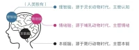 人脑有三个区域，分别是本能脑、情绪脑和理智脑。

本能脑和情绪脑是我们进化的产物，负责人类生存所需的基本功能，如呼吸、消化、情感、决策等。


而理智脑则是人类智慧的体现，负责思考、判断、推理等高级功能。配图