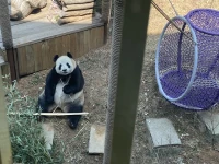 每一種心情都是獨特的音符，組成人生的旋律。配圖