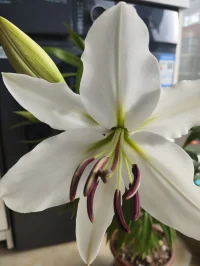 小人物有所為，有所不為
?一面是不擇手段，一面是底線高舉
?
悲哀之處是總會在某個階段迷失，最后被需求支配，成為一直在車輪上蹦迪蹦個不停的小白鼠，永遠不知道停止

車輪之外，幾雙大手隨意玩弄著輪子里的玩物
所以很多人生的出美好，卻守不住美好
自身弱小，教育不夠，智慧太低，欲望橫飛……
?
?物質都被一小撮人給捏在手里
?
這一小撮人，可掌人生死，可讓人下跪，可讓人飛黃騰達，可立真假道德，可改人思維
?
                                                       ——川配圖