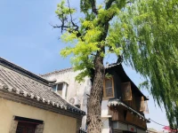 在你的內(nèi)心有一條很深很遠的路。在這條路上，你跋山涉水，披荊斬棘有時候你覺得走不動了。但你還想繼續(xù)用力甚至你責備自己走不動。開始找自己哪里不好這樣你就真的陷在里面了動彈不了了。從此刻開始，你可以換一種方式就是，待在原地不動，暫時不去用力。而是學會全然的陪伴自己在這一刻什么都不做只是陪伴去欣賞此刻的風景就像一只被擱淺的魚可以靜下心來欣賞沙灘上的風景等待下一次重生。配圖