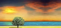 我們面對(duì)不同人事物時(shí)的態(tài)度是否成熟呢？可參考以下：
成熟三標(biāo)準(zhǔn)：合理化，解決問(wèn)題，求助
不成熟三要素：幻想，逃避，自責(zé)配圖