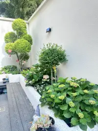 如果這是人生的低谷了，那么再往后就都是上坡了，減少內(nèi)耗。配圖