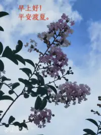 相遇有你，成為知己；相伴有你，格外珍惜；問候有你，每日惦記；分享有你，歡歡喜喜；一路有你，快樂無比！早上好！配圖