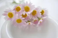 “所謂內(nèi)心的快樂，是一個人過著健全的、正常的、和諧的生活所感到的快樂。”——羅曼·羅蘭
 
親愛的朋友，新的一天又來臨了，愿您繼續(xù)充滿力量，積極樂觀地度過，讓快樂時刻圍繞在您身旁。祝您今日萬事勝意！配圖